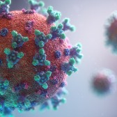 Coronavirus Covid-19 visualisatie.jpg